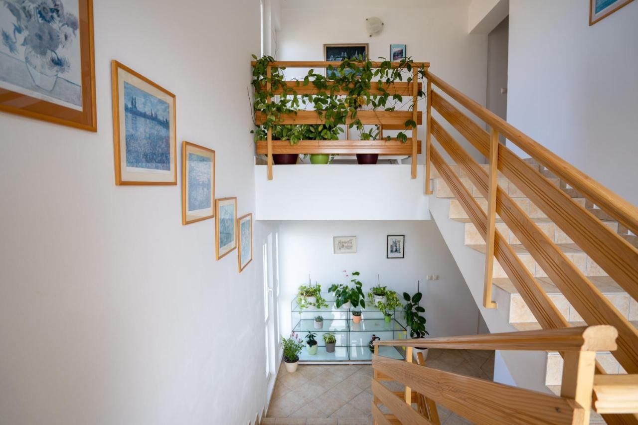 Apartments Valentin Privlaka  Esterno foto
